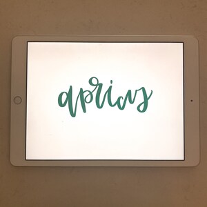 Apricus Procreate Brush