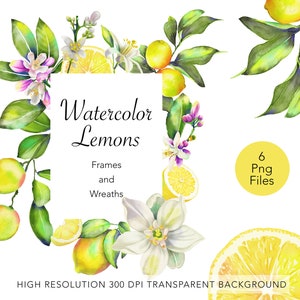 Watercolor Lemon Clipart | Lemon Frames Wreaths PNG | Invitation & Sticker Design | Commercial Use