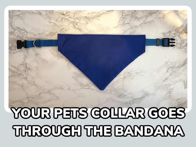 Promoted to Big Brother Dog Cat Over the Collar Bandana Any Etsy