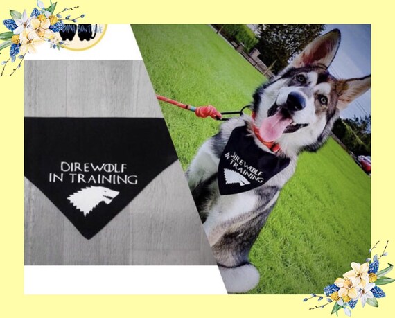 direwolf in training bandana