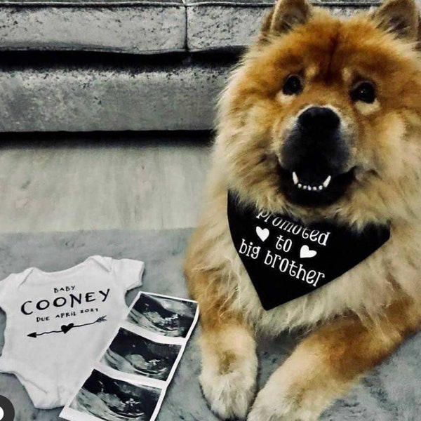 Promoted to big brother Dog Cat Over The Collar Bandana Baby Vest not included in this order -  Any Colour baby announcement