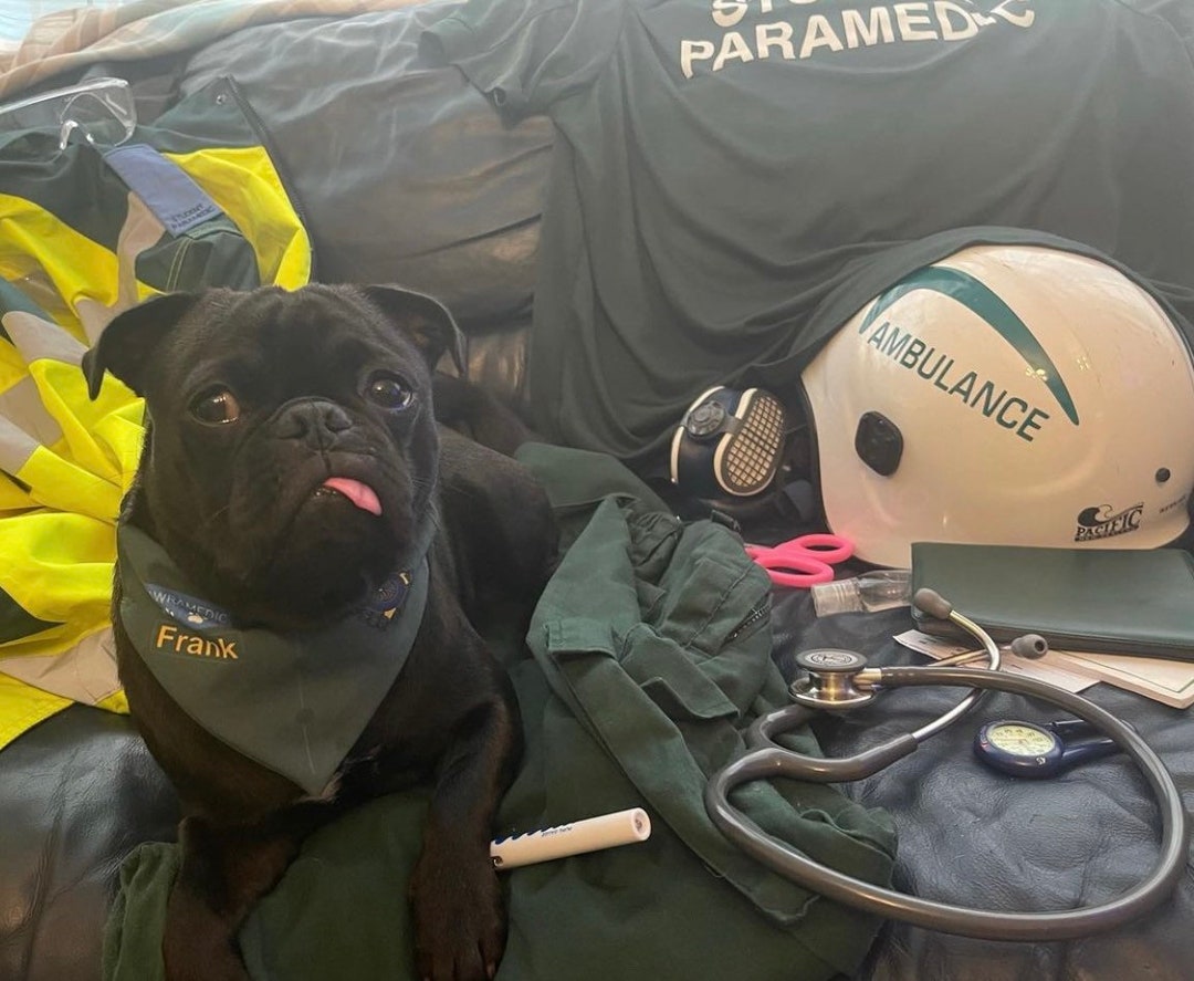 Personalised Uniform Paramedic Pawamedic Costumes Dressup Dog/cat Over