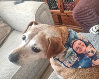 Custom Any photo or logo on a bandana Dog/Cat Over The Collar Bandana