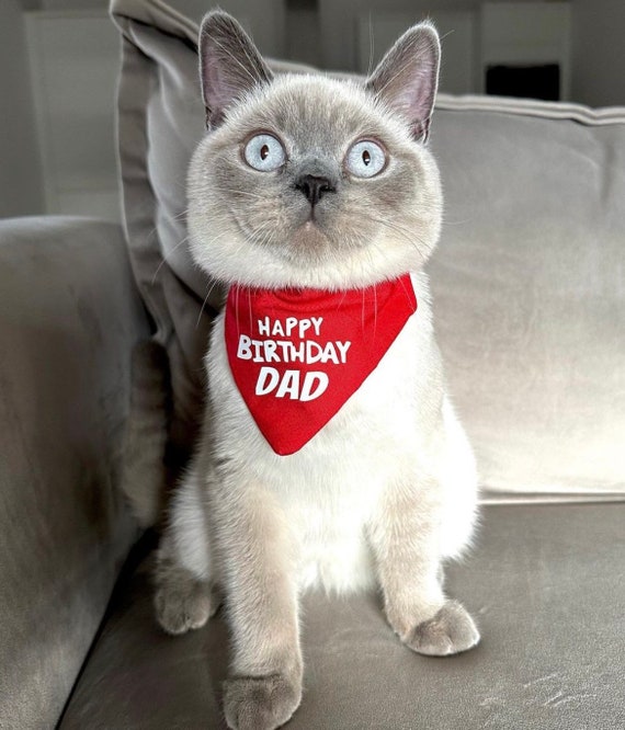 Cat birthday cheap bandana