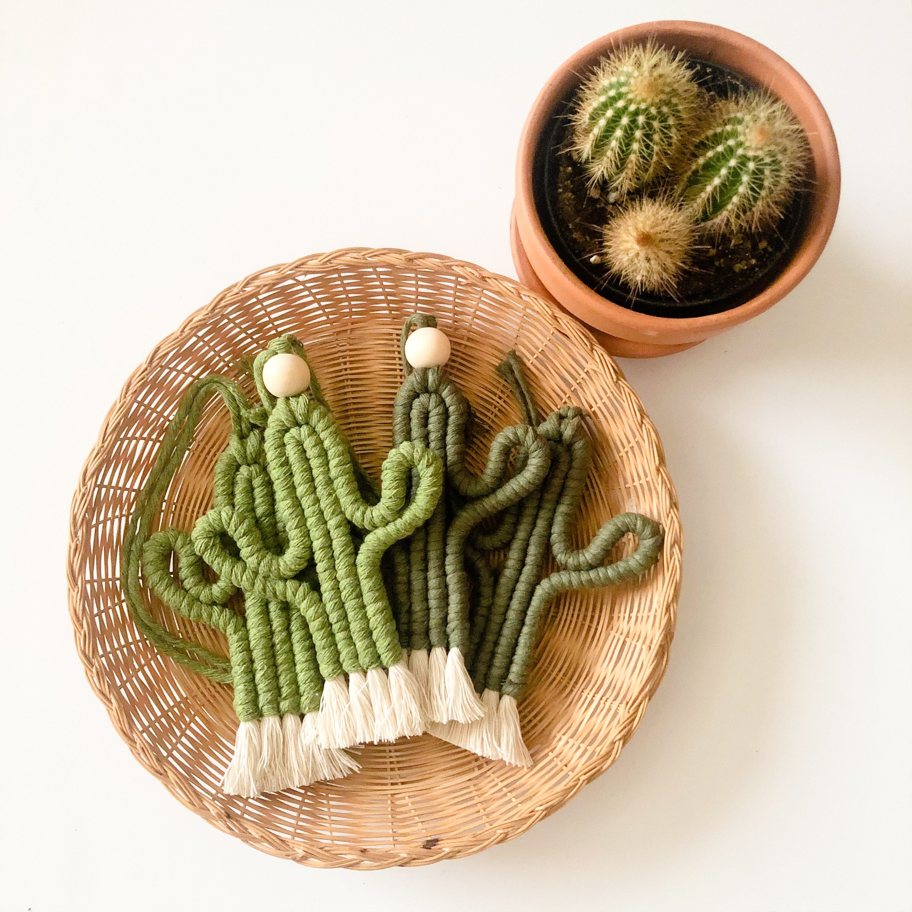Saguaro Cactus/cactus Rear View Mirror Hanger/rear View Mirror Etsy