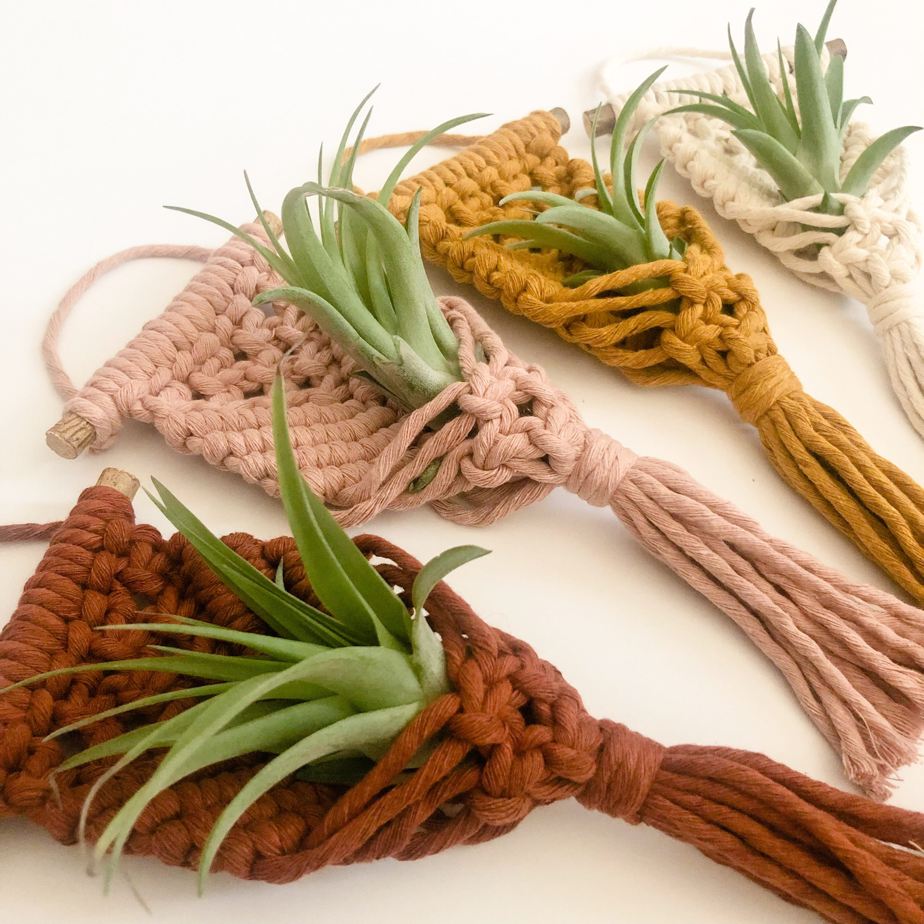Macrame Air Plant Hanger/Air Plant Hanger/Macrame Plant Hanger/Mini Plant Hanger/Plant Decor/Air Plants/Macrame Decor/Plants/Boho Home Decor