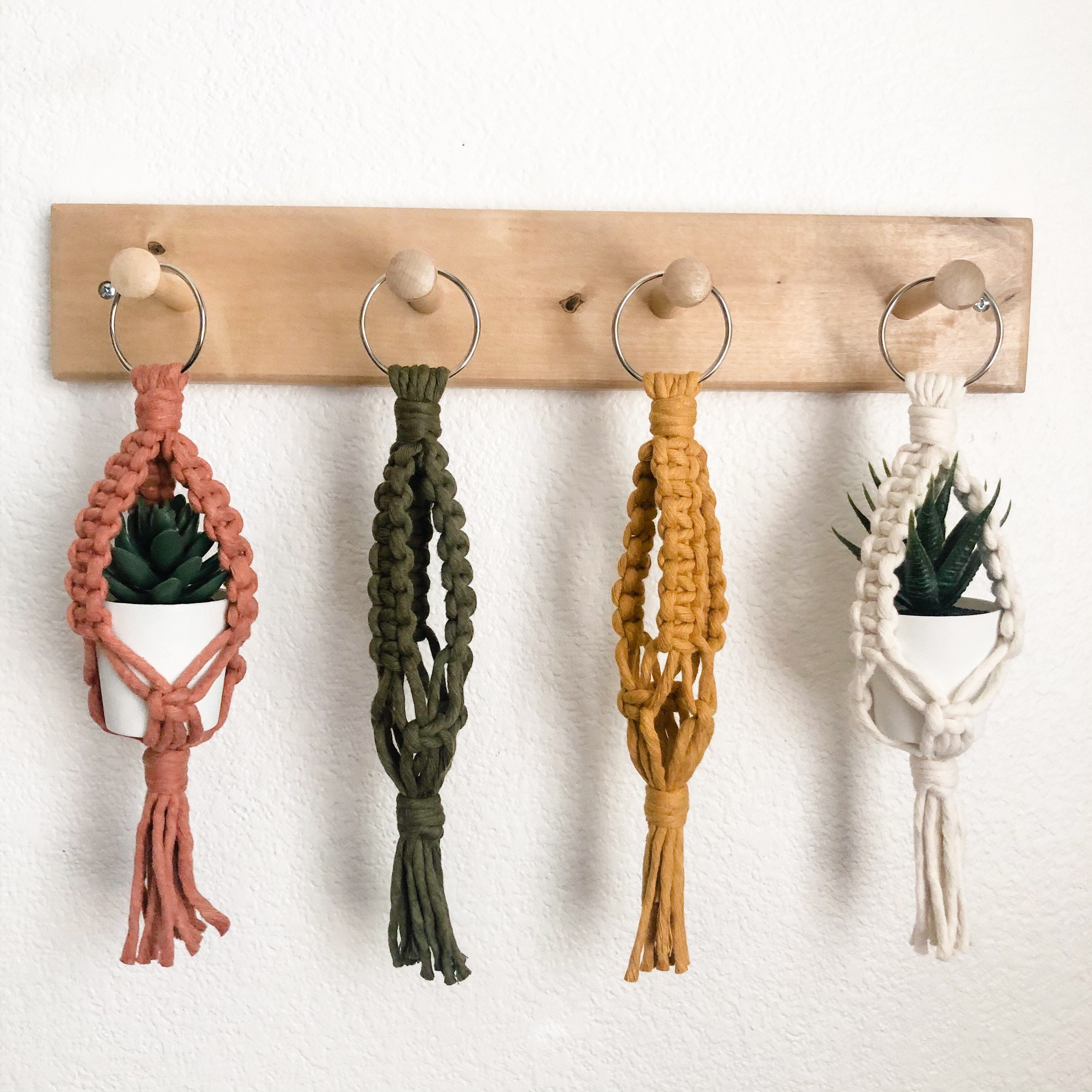 Mini colgador de la planta / colgante del espejo de visión | Etsy