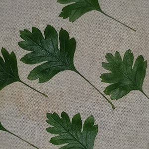 100 Natural Leaves, Fall Leaves, Dried Leaves, Mixed leaves, Maples Leaves