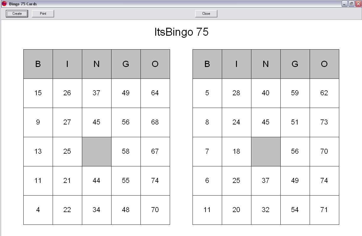 Itsbingo 75 and Itsbingo 90 Automatic Bingo Software Game Caller for PC