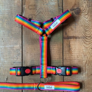 Rainbow Dog harness. H harness for dogs. Adjustable harness. Nylon dog harness. Adjustable H-shaped harness. Colorfull dog harness