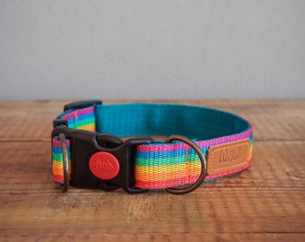 Regnbågsfärgad hundhalsband. Halsband med säkert spänne. Hundhalsband i nylon. Halsband med plastspänne. Halsband med halv strypning. Fredshundhalsband. Kärlek är kärlek.