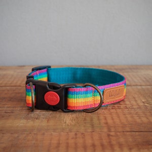 Rainbow dog collar. Safe buckle collar. Nylon dog collar. Plastic buckle collar. Half choke collar. Peace dog collar.Love is love dog collar