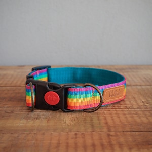 Op de afbeelding: Een regenboogkleurig hondenhalsband met een turquoise voering, een zwarte gesp met een rode knop en een bruin leren label met de tekst "Woof!"