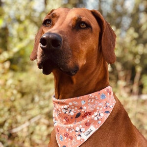 Fall lovers dog bandana collar. Pets bandana. Dog bandana for small dogs. Dog bandana for cats. Collar with bandana. Cotton fabric bandana.