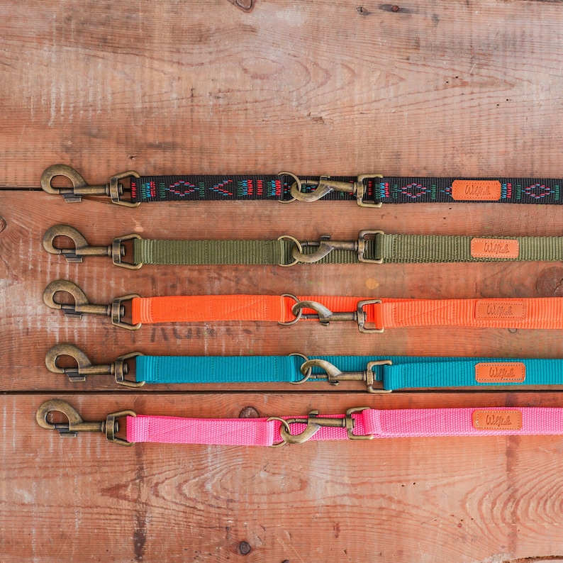 May include: Five dog leashes in different colors, including black, green, orange, teal, and pink. Each leash has a brass clasp and a brown leather tag with the word "Wags" printed on it.