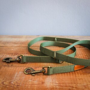 May include: A green dog leash with two brass clasps and a brown leather patch with the word "Tulips" on it.