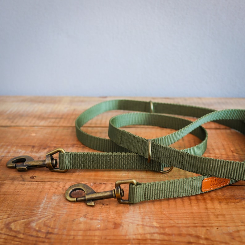 May include: A green dog leash with two brass clasps and a brown leather patch with the word "Tulips" on it.