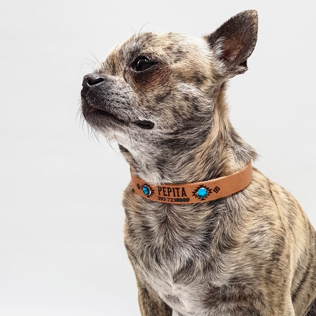 Dog Neck Band With Name. Custom Pet Id. Engraved Dog Collar. Etsy