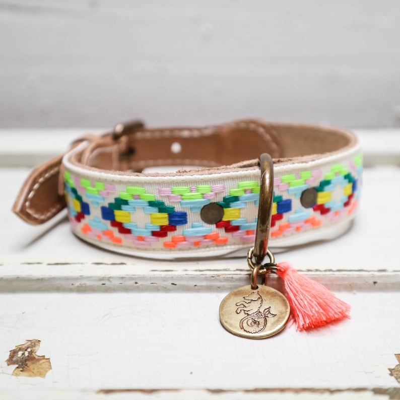 May include: White leather dog collar with a colorful embroidered pattern and a brass tag with a seahorse design and a pink tassel.