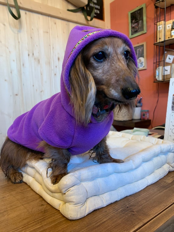 Sweatshirt dog cheap bed
