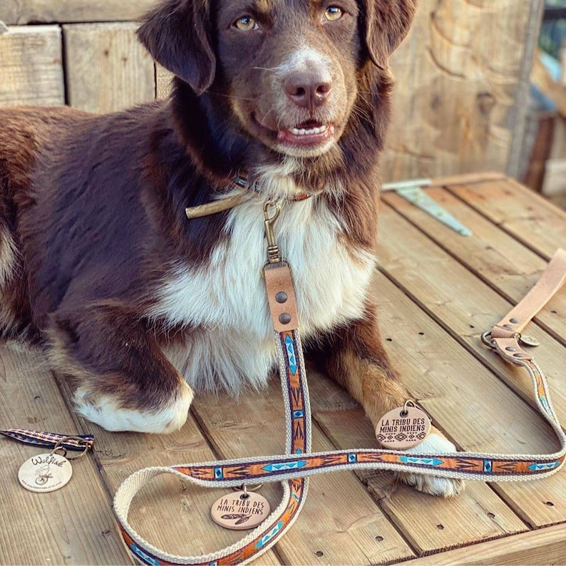 Small Dog Leash. Navajo Style Lead. Dog Lead. Southwestern Dog Etsy