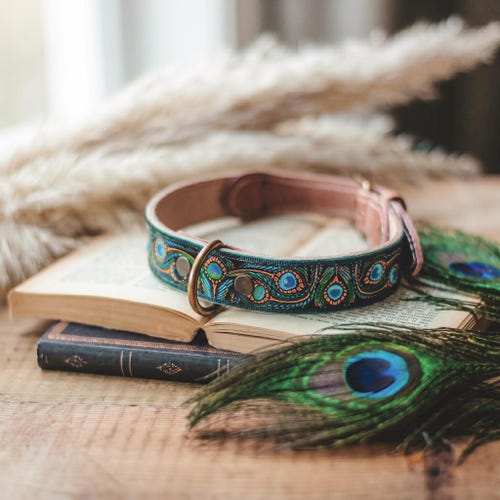 Hundehalsband aus Leder mit Pfauenfedern. Lederhalsband für Hunde. Besticktes Hundehalsband. Vintage-Hundehalsband. Lederhalsband mit Federn. Blaues Hundehalsband