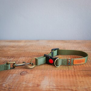 May include: A green dog collar with a brown leather patch that says "Walkabout" and a red button on the buckle. The collar is attached to a matching green leash with a brass hook.