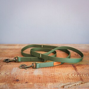 May include: A green dog leash with two brass clips and a brown leather patch with the word "alfie" on it.