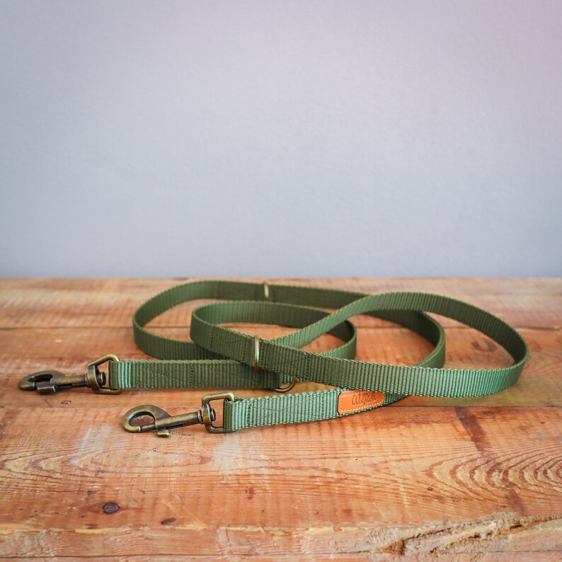 May include: A green dog leash with two brass clips and a brown leather patch with the word "alfie" on it.