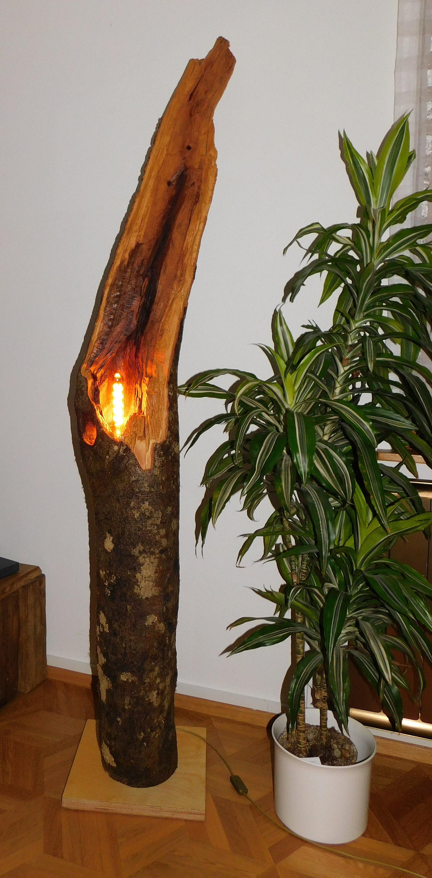 Tree trunk cheap lamp base