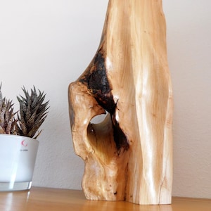 Könnte beinhalten: Eine helle Holzskulptur mit einem dunklen, verbrannten Bereich. Das Kunstwerk hat eine unregelmäßige Form mit einem Loch. Die Holzmaserung ist sichtbar. Die Skulptur wird auf einer Holzoberfläche ausgestellt.