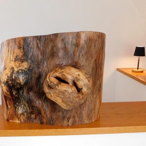 Könnte beinhalten: Eine große Holzskulptur mit einem markanten Knotendetail. Die Skulptur steht auf einem Holzregal. Eine kleine schwarze Lampe mit Holzsockel steht im Hintergrund auf einem Regal.