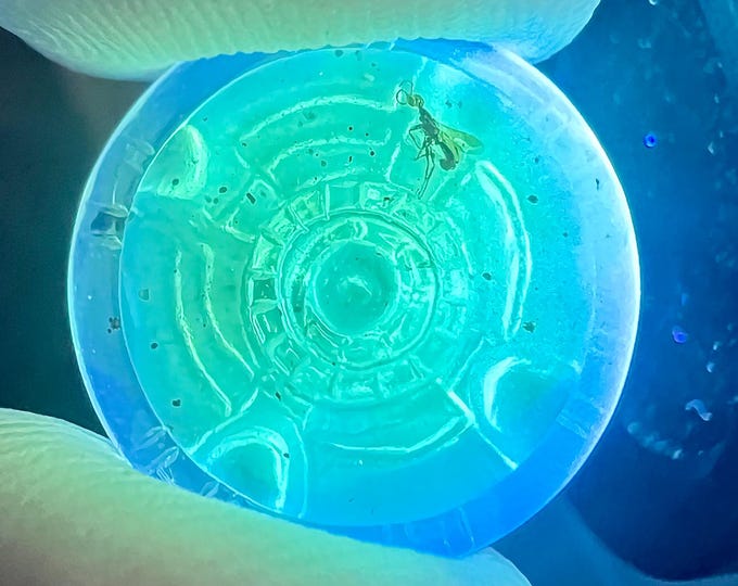 Amber - highly detailed amber carving of a fossilized bee in a flying saucer - Unique - Ideal for jewelry IDA0671