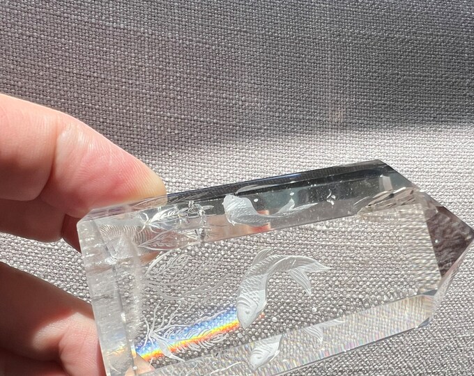Top quality intaglio carving on a superb Quartz crystal -fish and algae - ID A0149