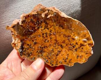 Rare specimen Rock Crystal with rutile formations from Brazil - Like a Geode - Collector piece ID A0258