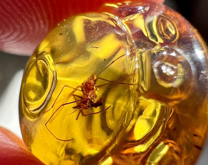 Amber - highly detailed amber carving of a flying saucer with a fossilized spider inclusion - Ideal for jewelry IDA0674
