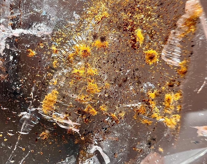 Collector enhydro - Rare quartz rock crystal Enhydro with a tiny bubble and tiny golden goethite tassels - ID A0430