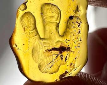 Amber - highly detailed amber carving of a dinosaur T-Rex footprint with fossilized mosquito - Ideal for jewelry IDA0673