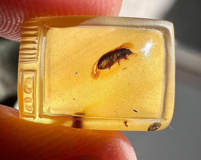Amber - detailed amber carving of an old TV with a fossilized beetle - Ideal for jewelry IDA0672