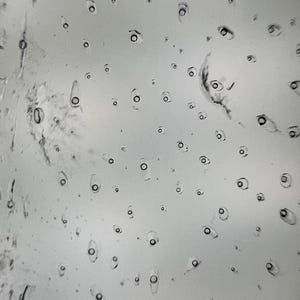 May include: An abstract image showing a light grey surface with many small, oval droplets. Each droplet has a dark, circular centre, creating a pattern similar to eyes or bubbles. The overall effect is a textured, almost ethereal design.