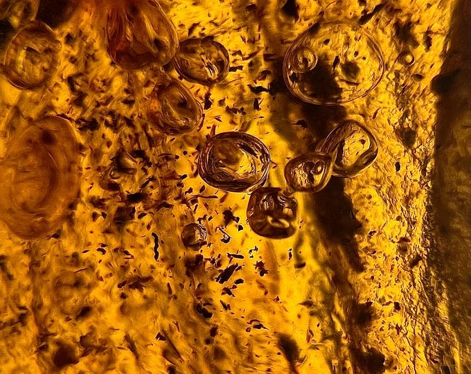 Amber Enhydro - Rare millions years old amber with multiple enhydro bubbles IDA0642