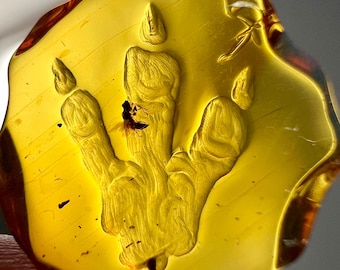 Amber - highly detailed amber carving of a dinosaur T-Rex footprint with fly inclusion- fossil Ideal for jewelry IDA0675