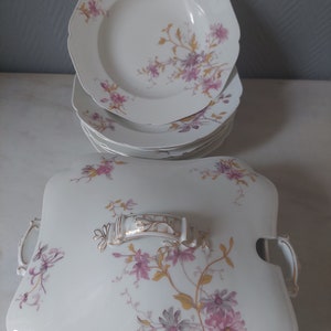 Haviland & Co Limoges fine porcelain flower service late 19th tureen and 7 soup plates