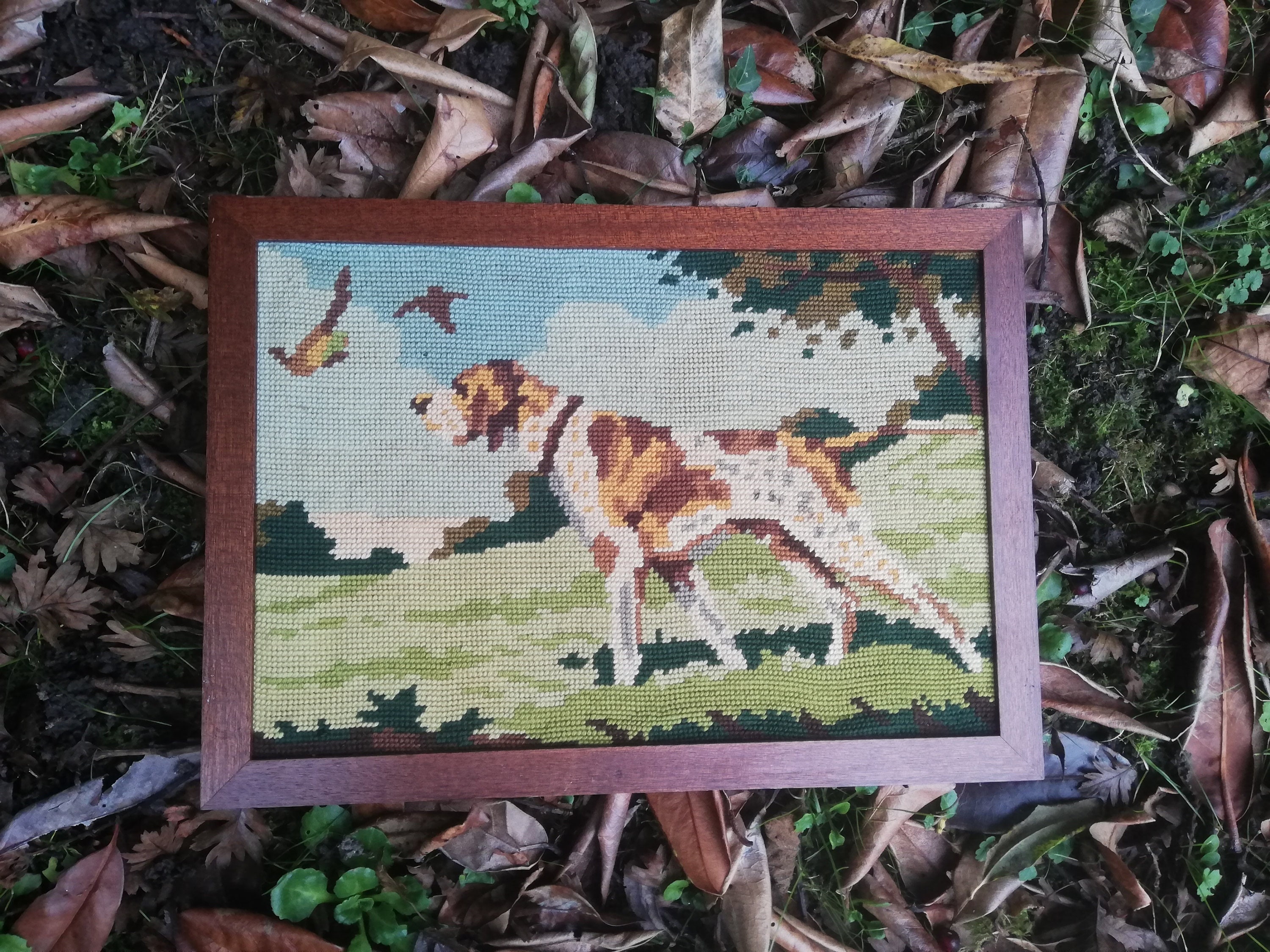 Tableau Canevas Chien de Chasse
