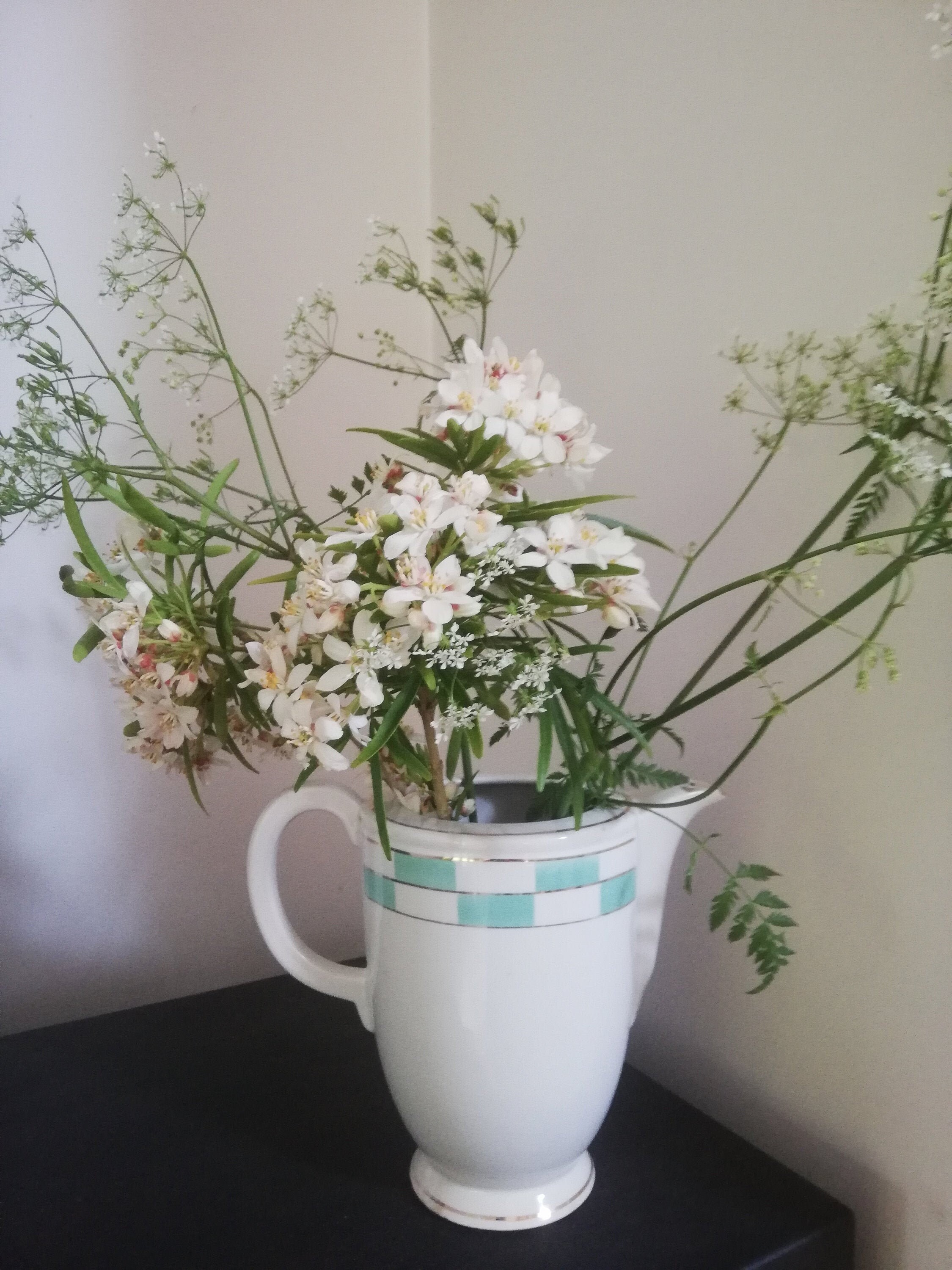 Grande Cafetière-Théière Lunéville Années 50