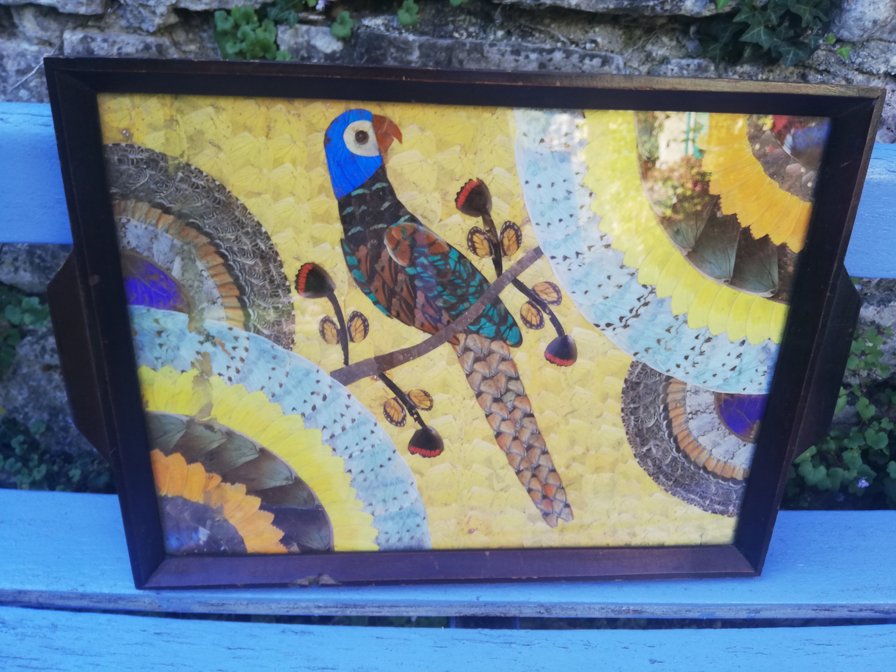 Plateau Perroquet en Ailes de Papillons Souvenir Du Brésil