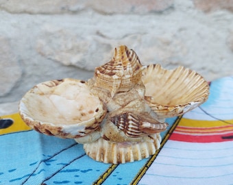 Salière poivrière en coquillages années 60