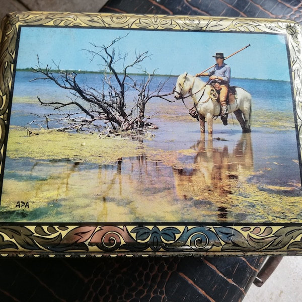 Big 70s metal box with gardian and horse camarguais