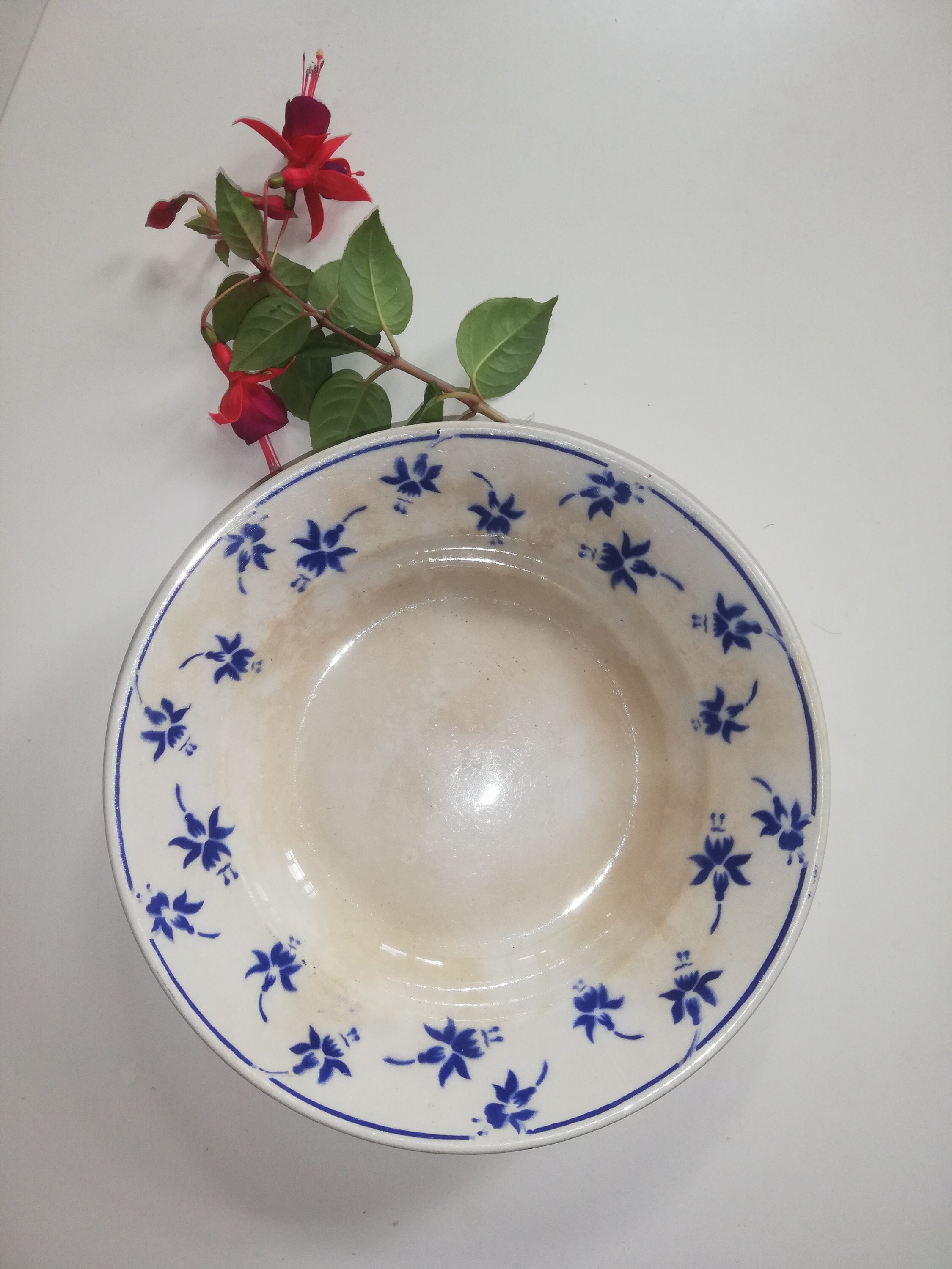 Grand Plat Creux Digoin-Sarreguemines Morgat Fleurs Bleues