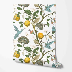 Hummingbird & Lemons Peel and Stick Wallpaper - Removable Self Adhesive Wallcovering - Birds Pattern Wall Murals by Green Planet Print